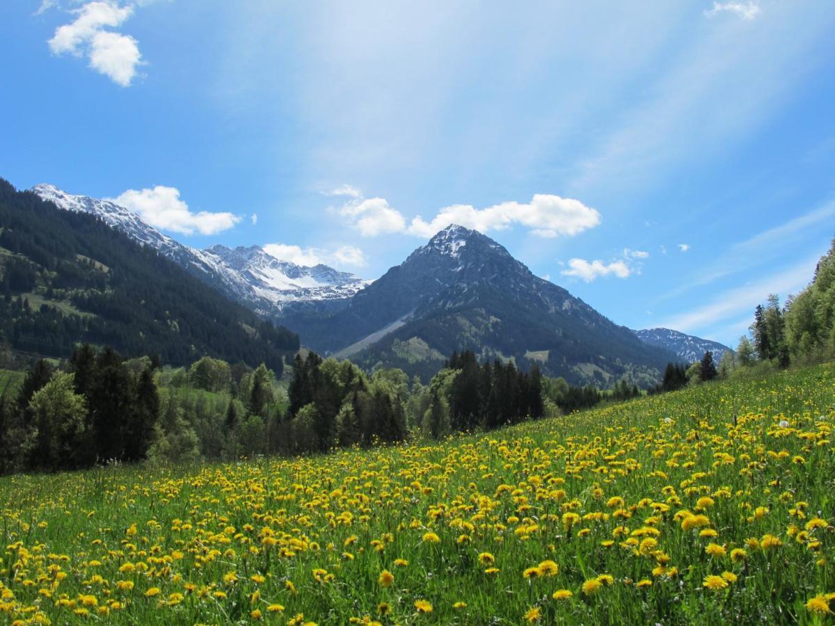 Hornblick Fewo- Ab Mai Freie Fahrt Mit Bergbahnen Оберстдорф Екстер'єр фото