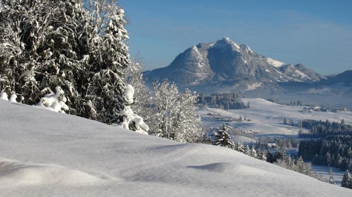 Hornblick Fewo- Ab Mai Freie Fahrt Mit Bergbahnen Оберстдорф Екстер'єр фото